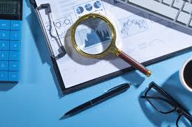 التدقيق الداخلي للمشاريع